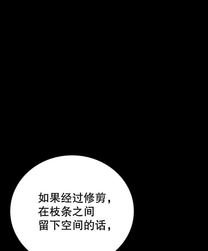 漫画《时间静止的房子》151.剪枝第23张图