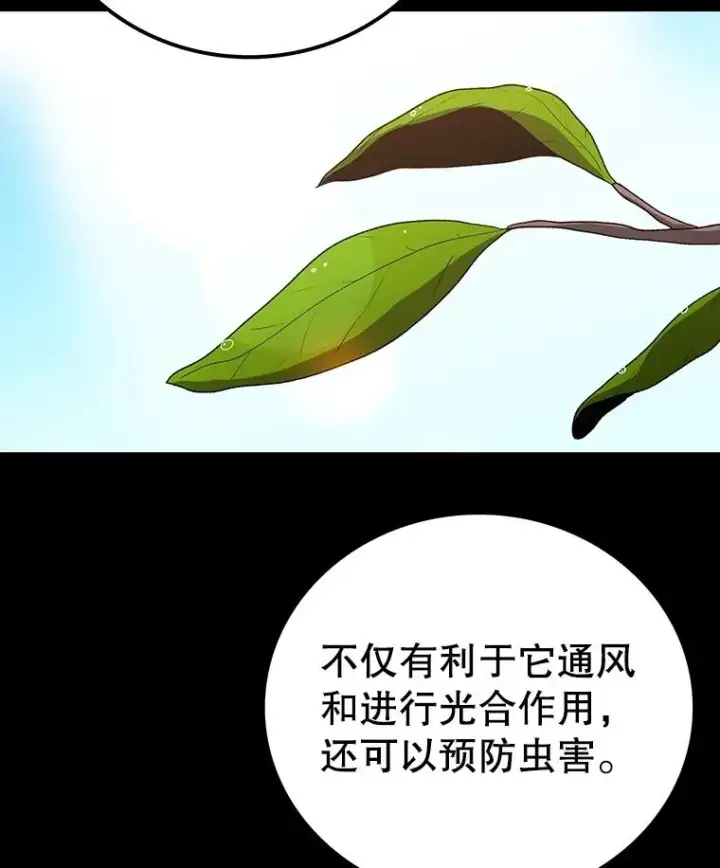 漫画《时间静止的房子》151.剪枝第24张图