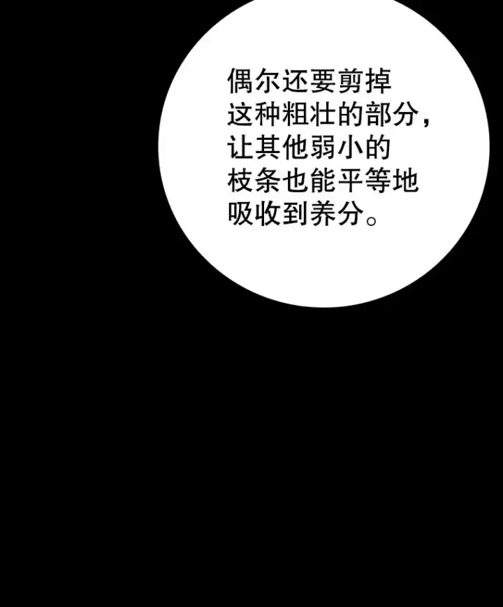 漫画《时间静止的房子》151.剪枝第27张图