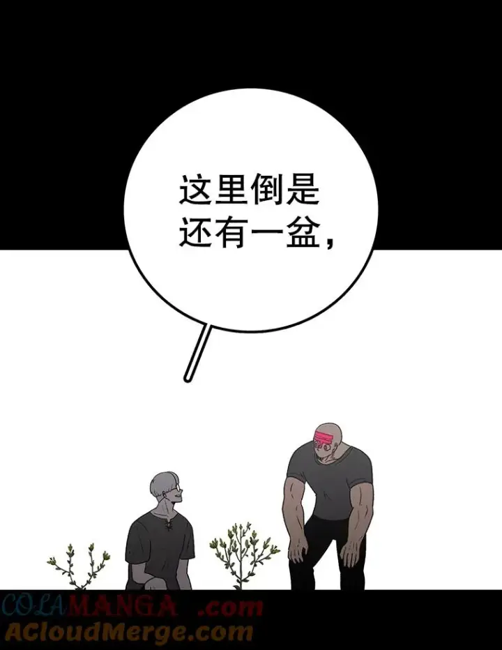 漫画《时间静止的房子》151.剪枝第37张图