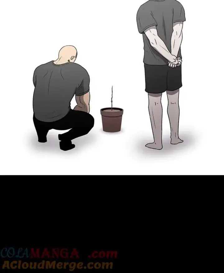 漫画《时间静止的房子》151.剪枝第45张图