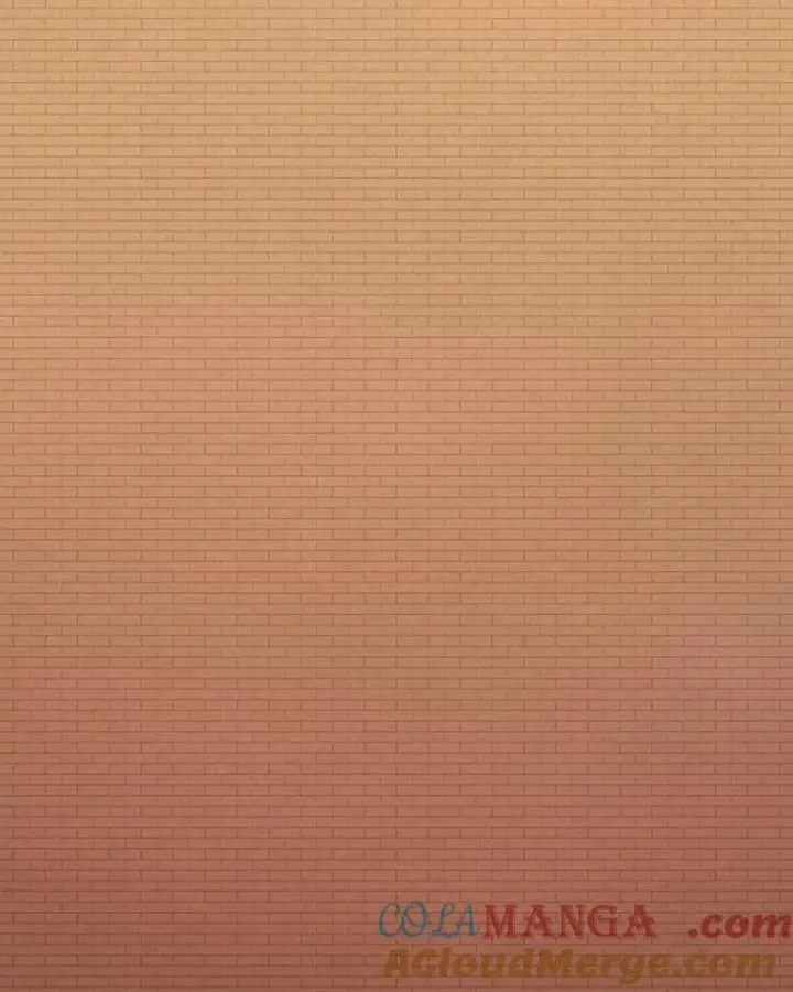 《时间静止的房子》153.底牌图37