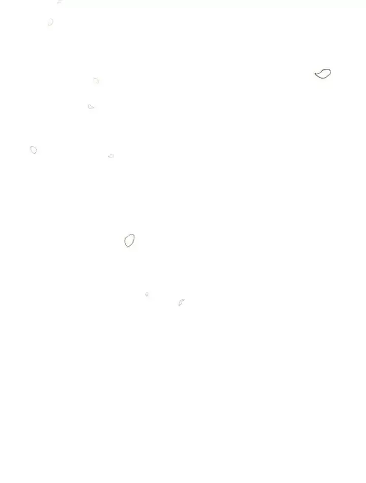 漫画《时间静止的房子》166.享受庆典第174张图