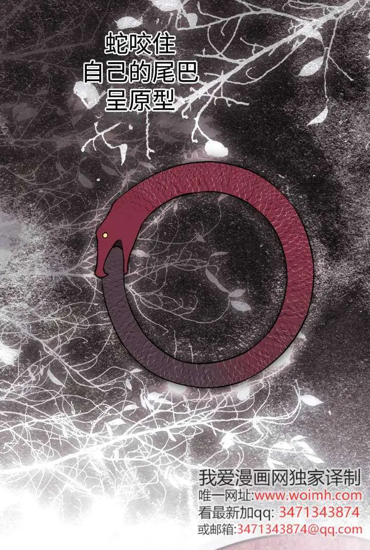 漫画《世界最强者们都为我倾倒》第132话第46张图