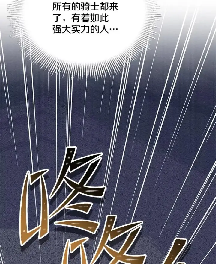 《史诗级枪骑士再临》100.格斗开始图100