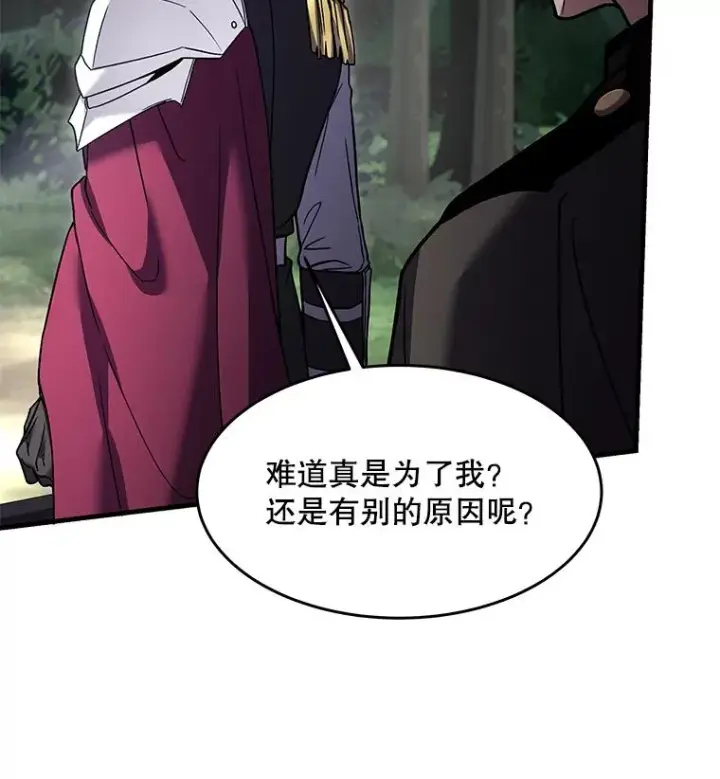 《史诗级枪骑士再临》103.追踪图86