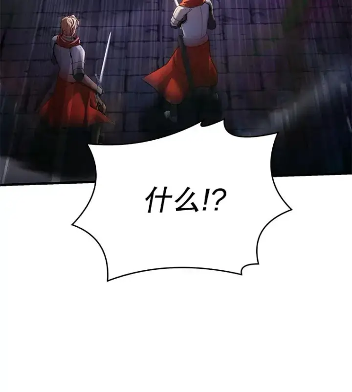 《史诗级枪骑士再临》106.战斗魔法师图108