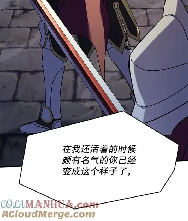 《史诗级枪骑士再临》106.战斗魔法师图133
