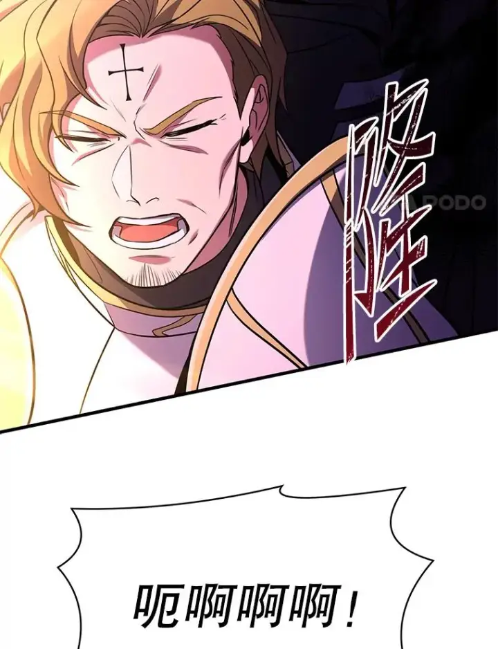《史诗级枪骑士再临》106.战斗魔法师图159