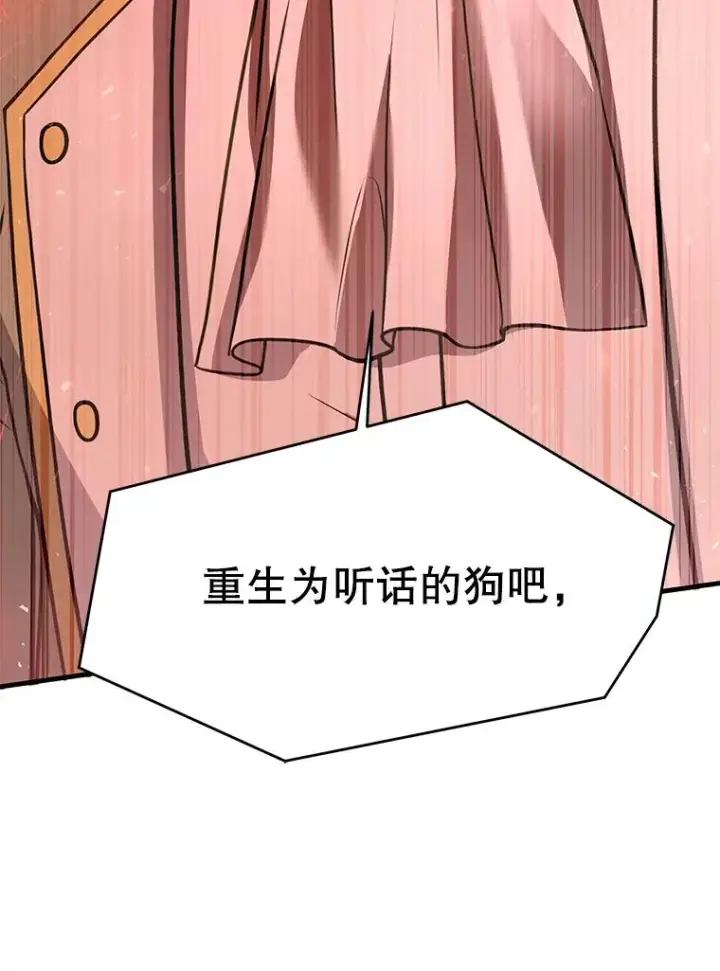 《史诗级枪骑士再临》106.战斗魔法师图38
