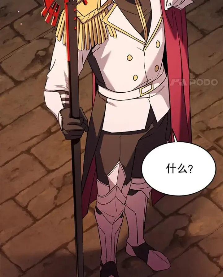 《史诗级枪骑士再临》106.战斗魔法师图46