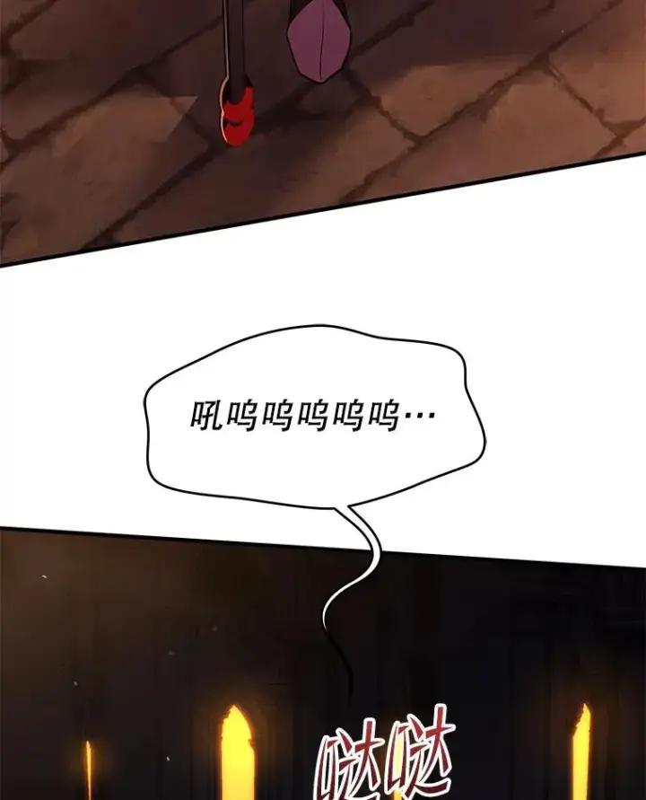 《史诗级枪骑士再临》106.战斗魔法师图47
