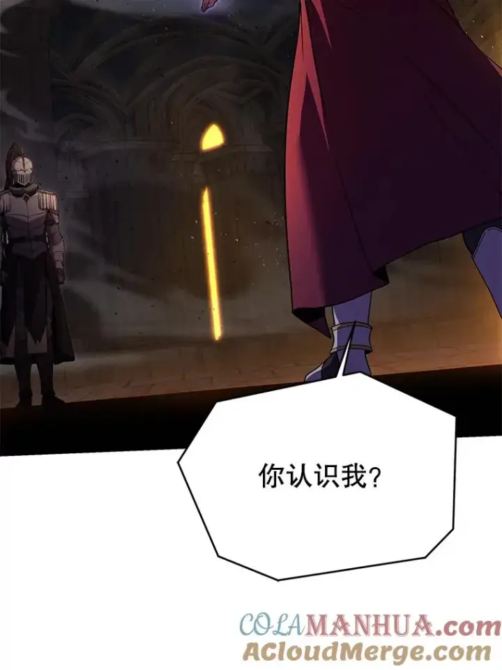 《史诗级枪骑士再临》106.战斗魔法师图93