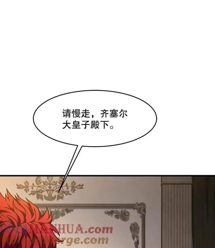 《史诗级枪骑士再临》110.局势突变图17