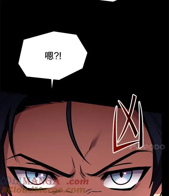 《史诗级枪骑士再临》118.往事图153