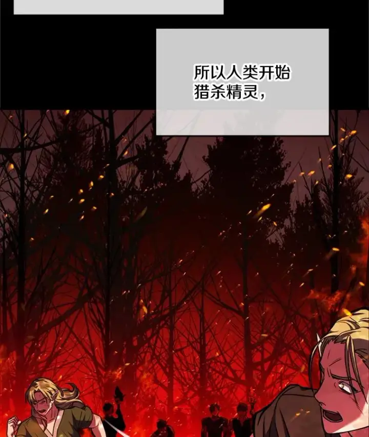 《史诗级枪骑士再临》29.精灵的眼泪图10