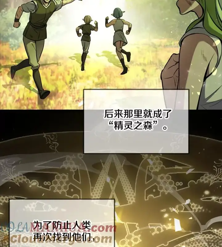 《史诗级枪骑士再临》29.精灵的眼泪图13