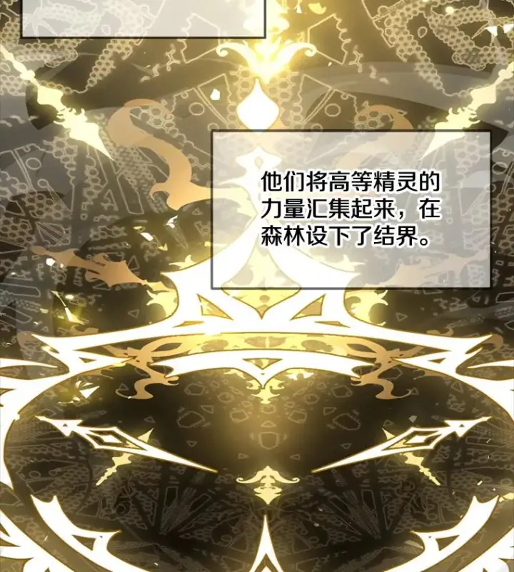 《史诗级枪骑士再临》29.精灵的眼泪图14