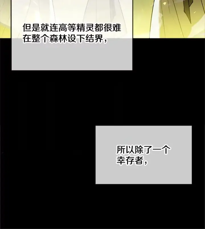 《史诗级枪骑士再临》29.精灵的眼泪图16