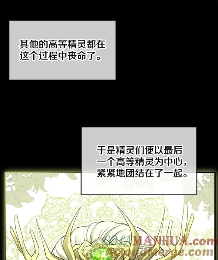 《史诗级枪骑士再临》29.精灵的眼泪图17