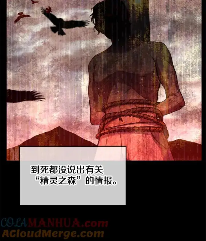 《史诗级枪骑士再临》29.精灵的眼泪图25
