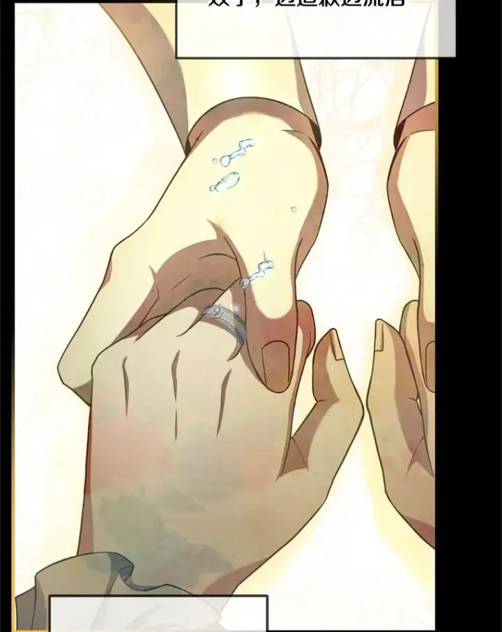《史诗级枪骑士再临》29.精灵的眼泪图30