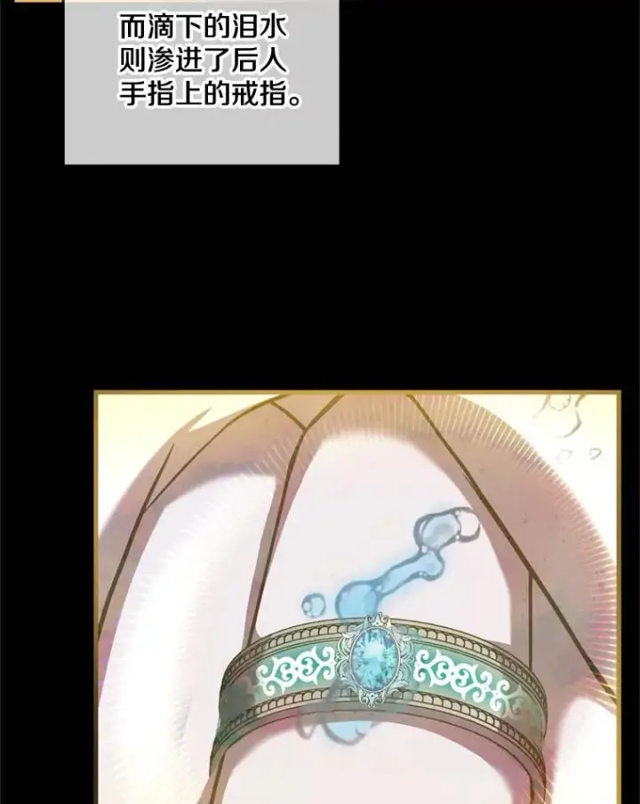《史诗级枪骑士再临》29.精灵的眼泪图31