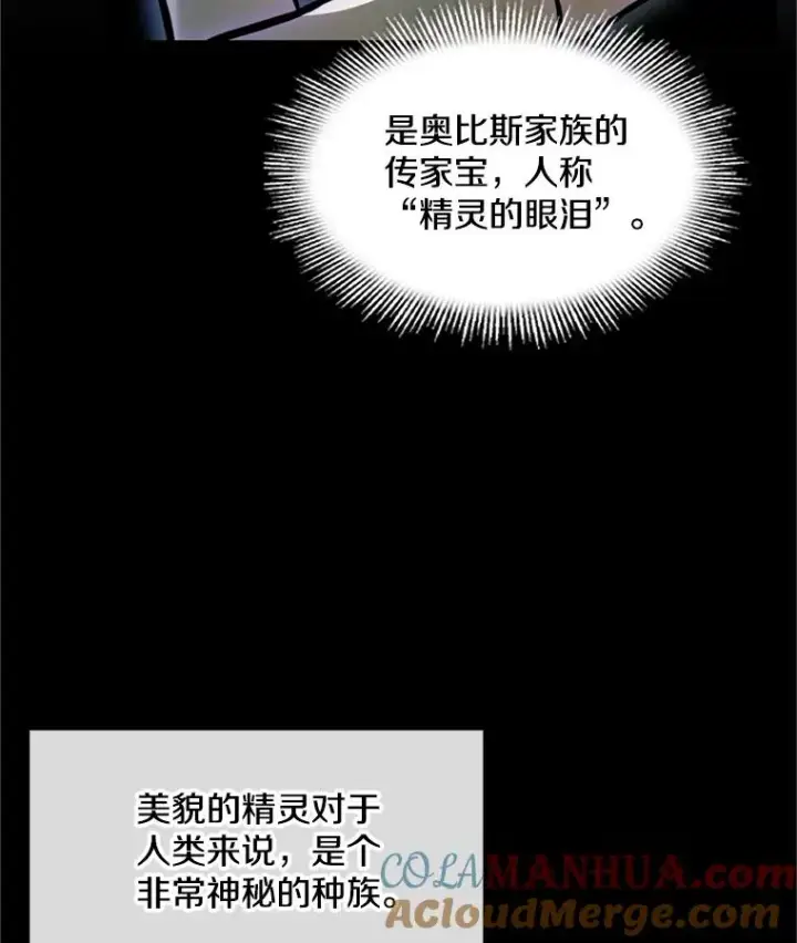《史诗级枪骑士再临》29.精灵的眼泪图9