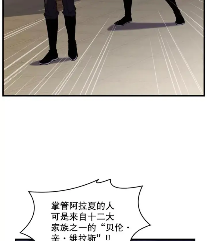 《史诗级枪骑士再临》37.阿拉夏图62