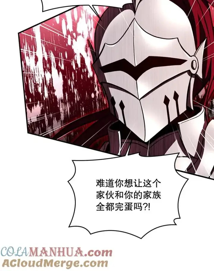 《史诗级枪骑士再临》39.公开身份图25