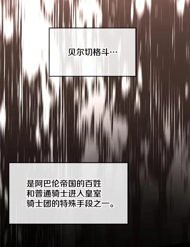 《史诗级枪骑士再临》49.进入皇宫图26