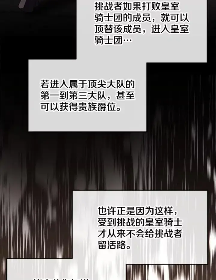 《史诗级枪骑士再临》49.进入皇宫图28