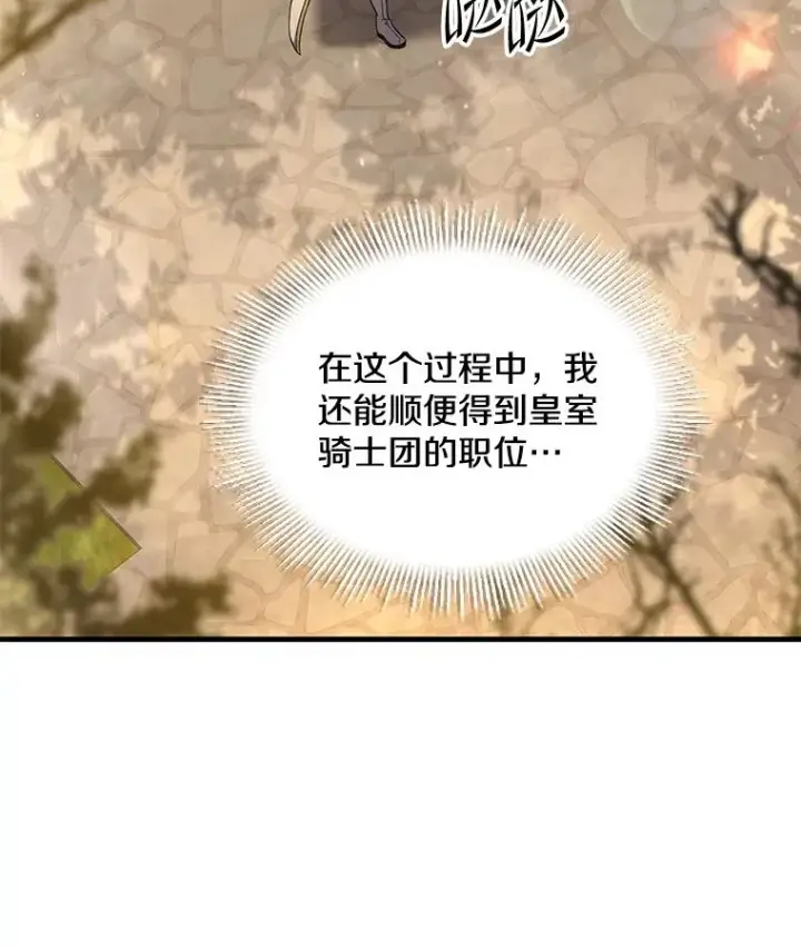 《史诗级枪骑士再临》49.进入皇宫图34