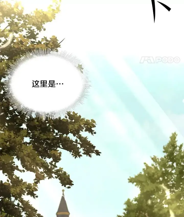 《史诗级枪骑士再临》49.进入皇宫图36