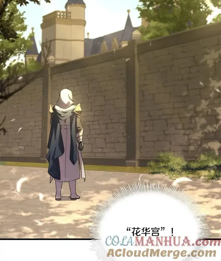 《史诗级枪骑士再临》49.进入皇宫图37