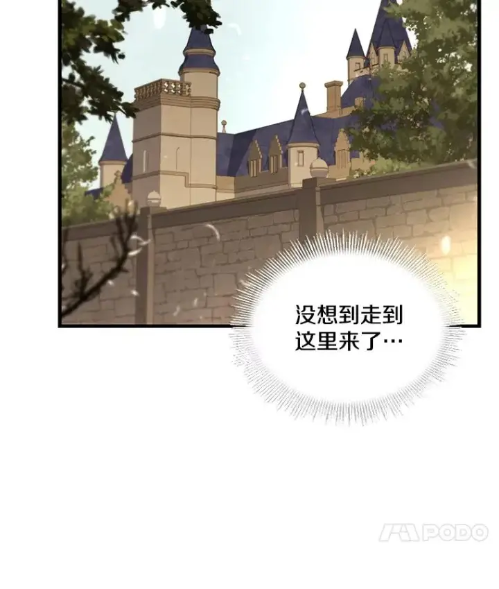《史诗级枪骑士再临》49.进入皇宫图39