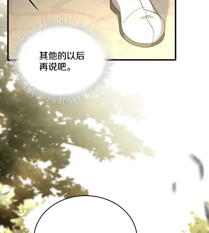《史诗级枪骑士再临》49.进入皇宫图44