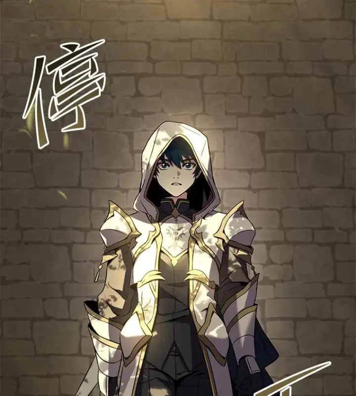 《史诗级枪骑士再临》49.进入皇宫图46