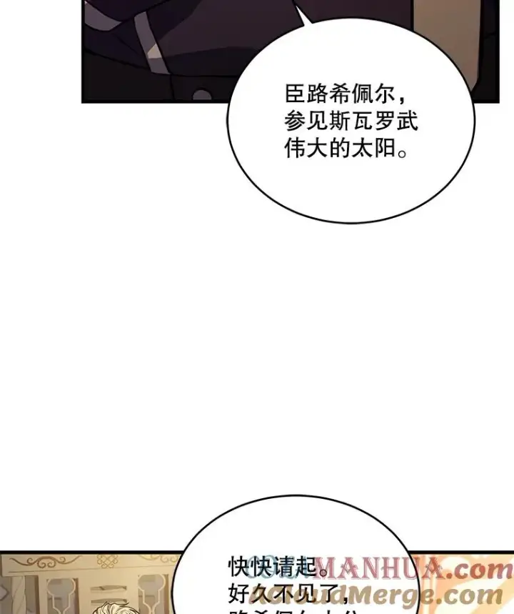 《史诗级枪骑士再临》49.进入皇宫图81