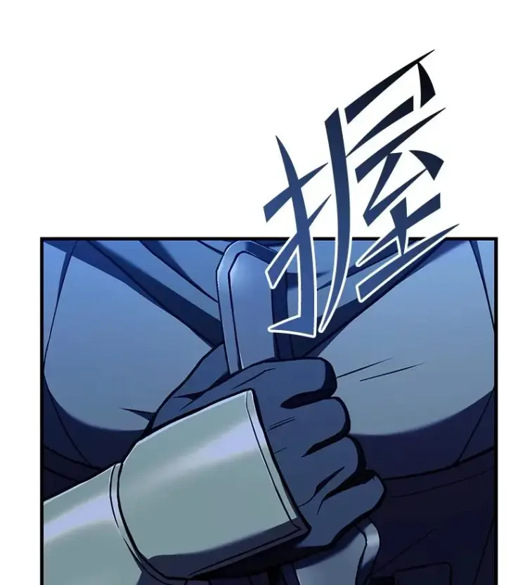 《史诗级枪骑士再临》54.生日宴会图147
