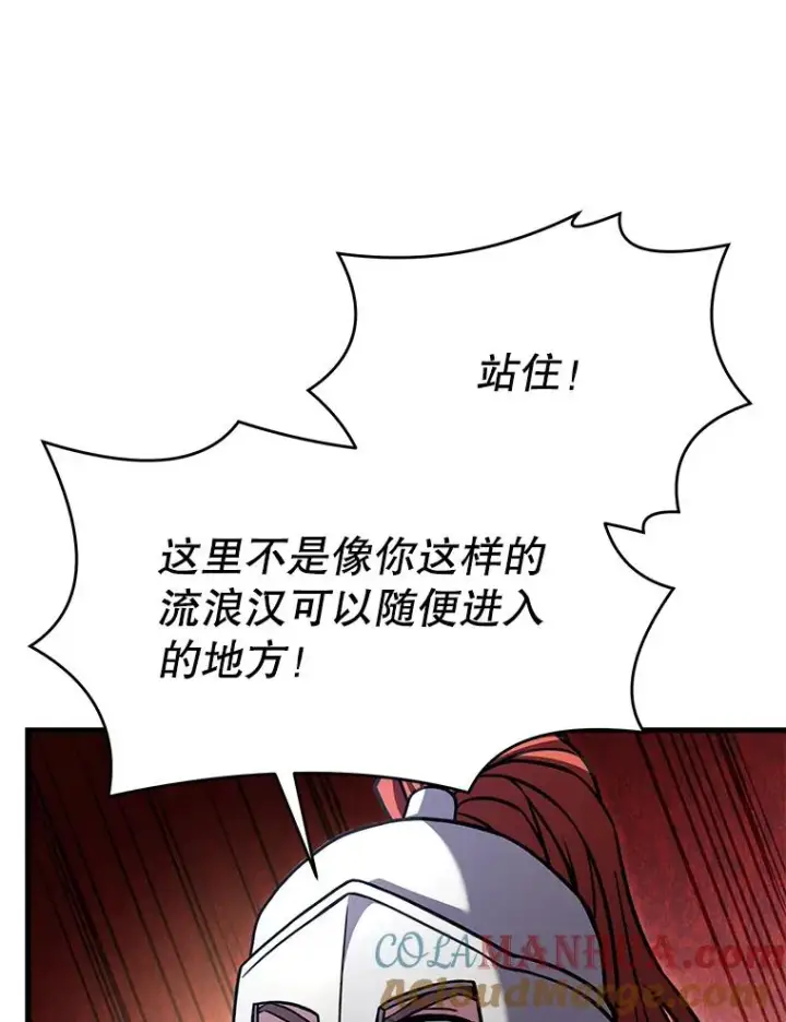 《史诗级枪骑士再临》55.生日宴会（2）图145