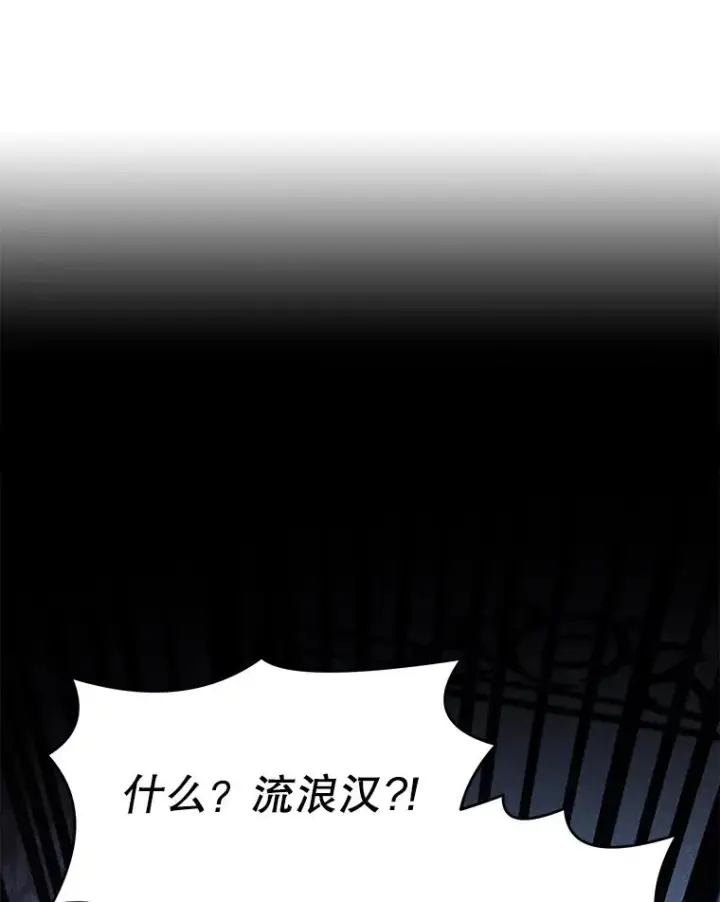 《史诗级枪骑士再临》55.生日宴会（2）图147
