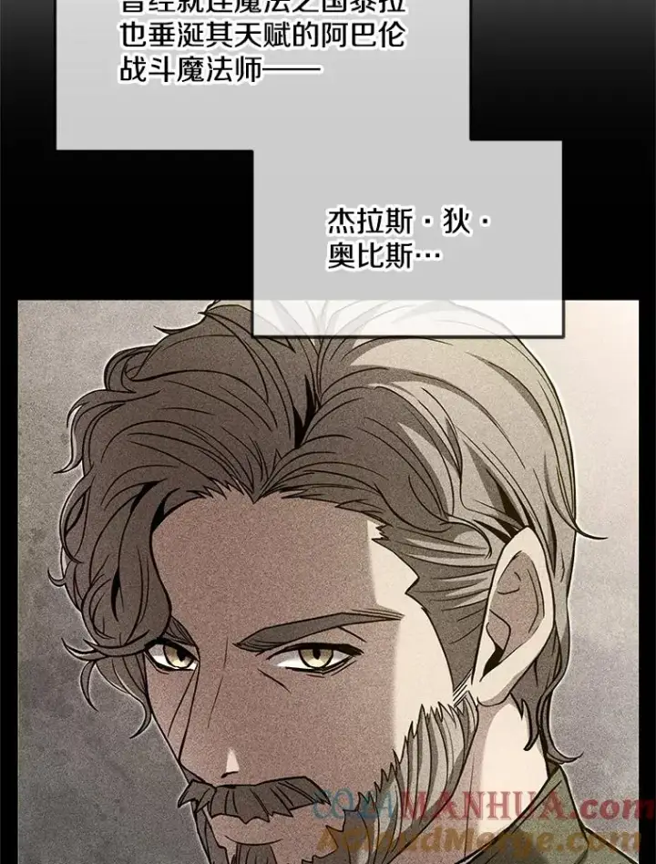 漫画《史诗级枪骑士再临》67.战斗魔法师第101张图