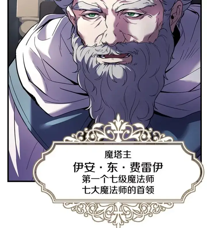 漫画《史诗级枪骑士再临》67.战斗魔法师第83张图