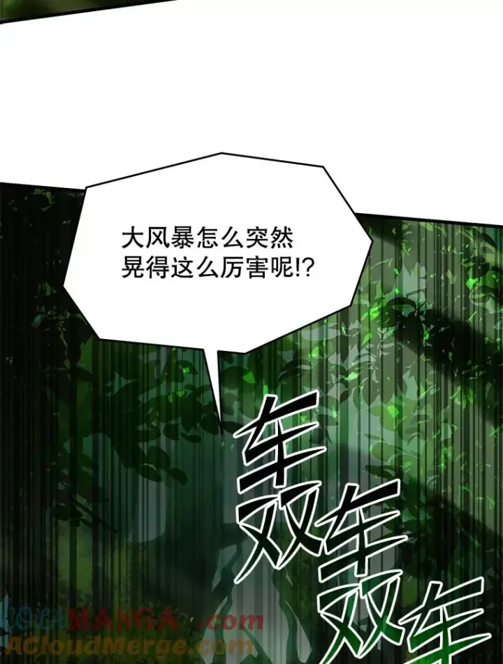 《史诗级枪骑士再临》121.进攻精灵之森图101