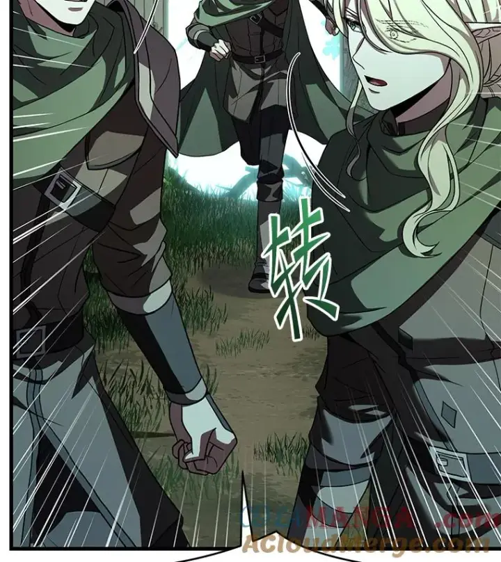 《史诗级枪骑士再临》121.进攻精灵之森图105