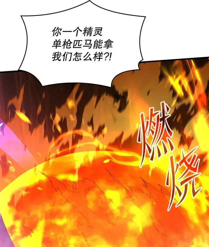 《史诗级枪骑士再临》122.精灵的危机图72