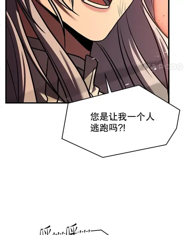 《史诗级枪骑士再临》125.大陆战争爆发图180