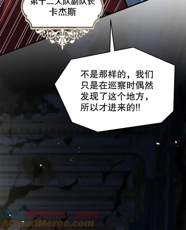 漫画《史诗级枪骑士再临》134.真假标志第149张图