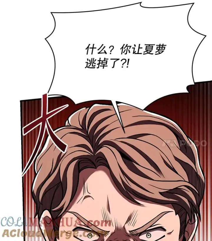 《史诗级枪骑士再临》83.费里城图121